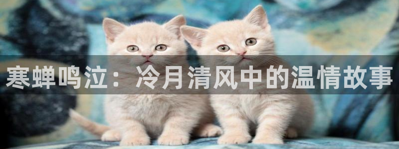 漫蛙@2：寒蝉鸣泣：冷月清风中的温情故事
