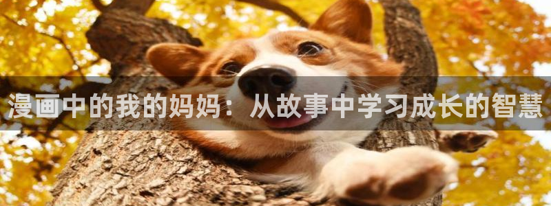 漫蛙一耽