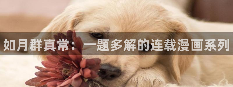 漫蛙网页版入口