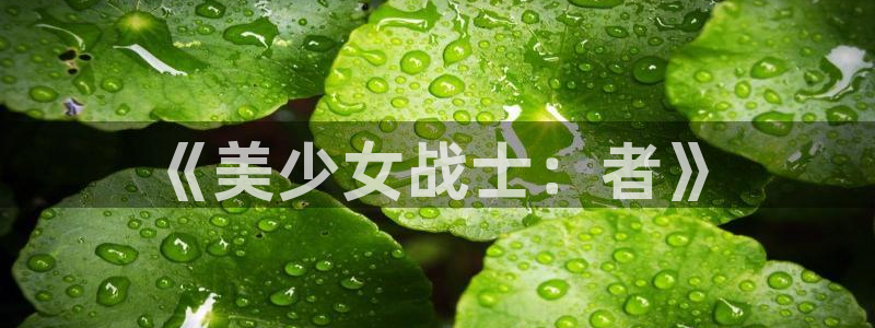 漫蛙网页入口
