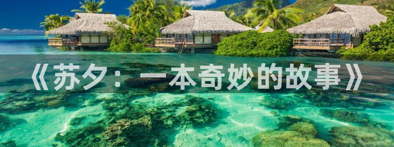 负面恋情在漫蛙上叫什么