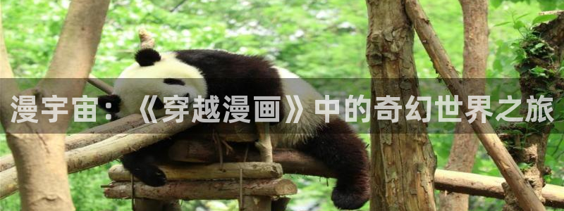 漫蛙2旧版