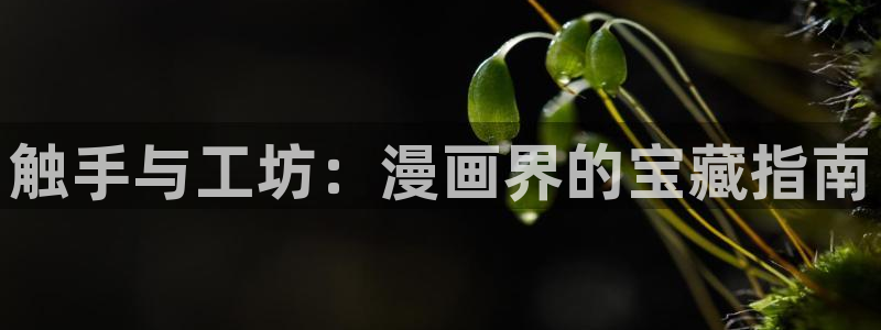 漫蛙放走失