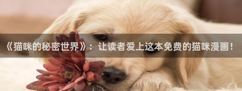 www.漫蛙漫画.com.
