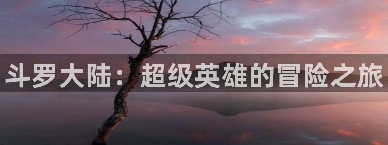 漫蛙2正