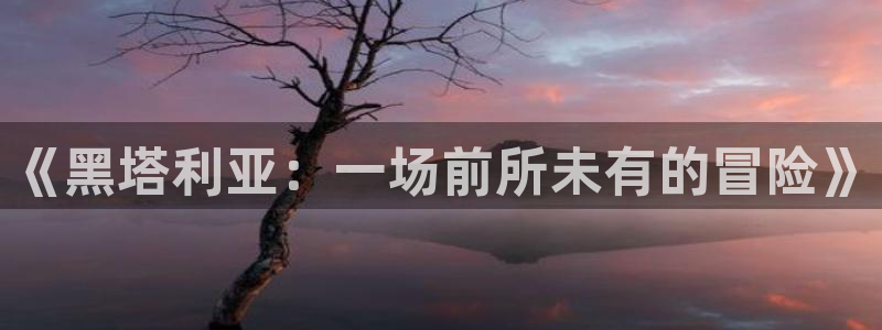 漫蛙2.0官网