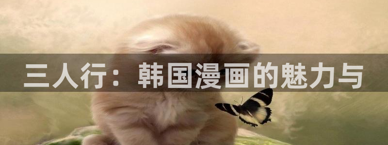 漫蛙2飞翔下载