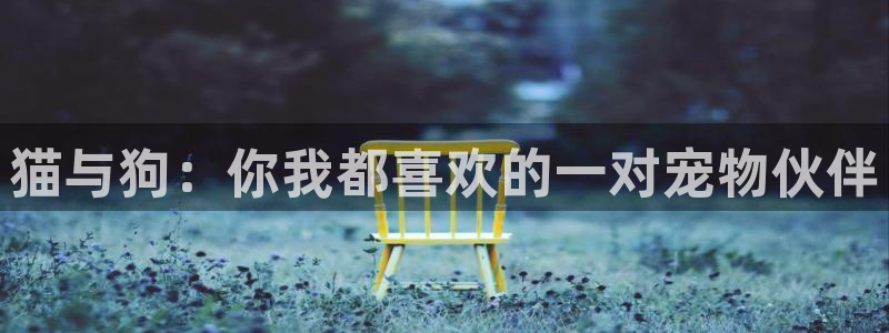 漫蛙腐
