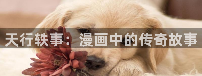 正版漫蛙下载链接
