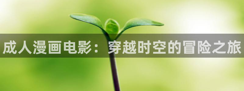 软件漫蛙