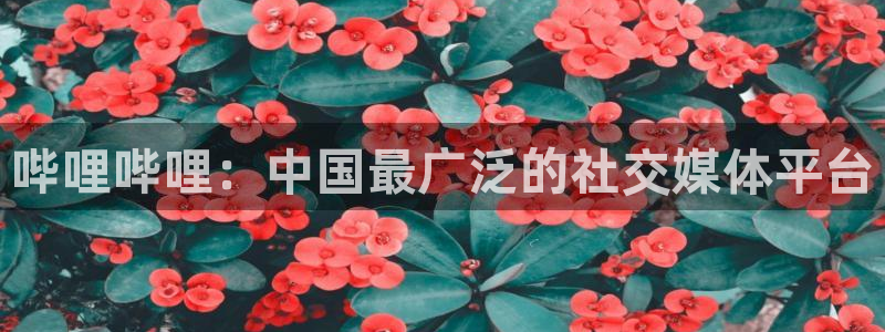 漫蛙漫画安卓版下载