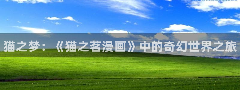 漫蛙ios怎么下