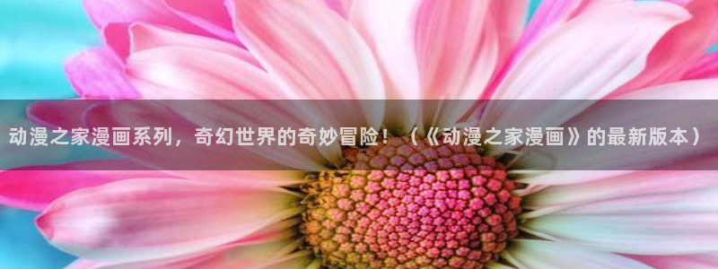 漫蛙最
