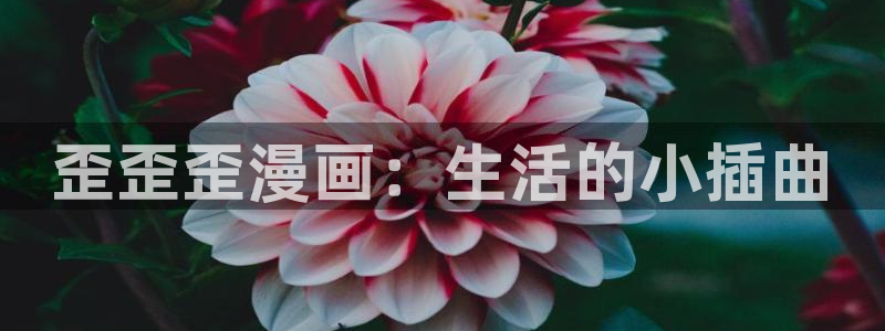 漫蛙manwa21.1.8版本