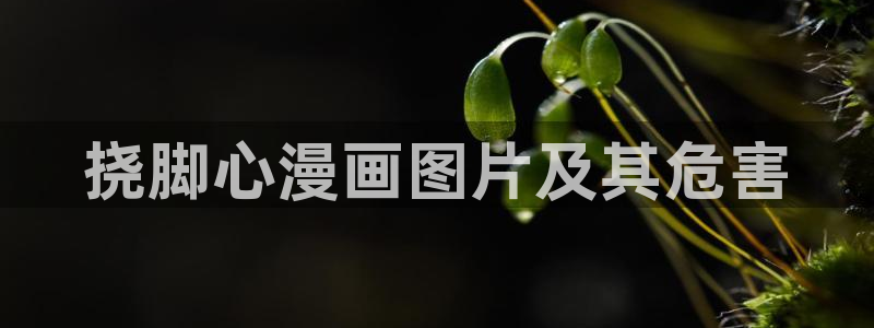 漫蛙漫画免费官网下载