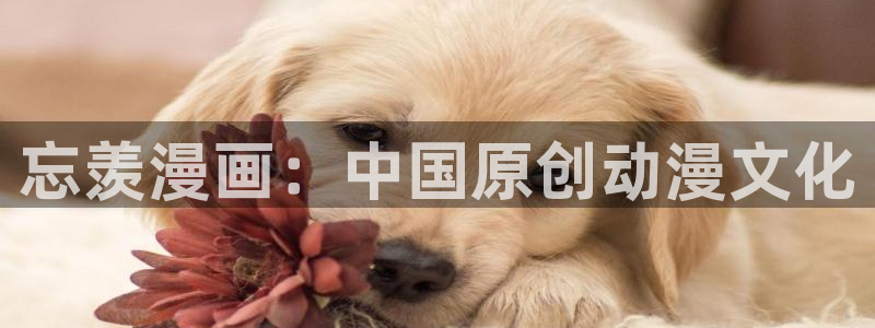 漫蛙1.8版本