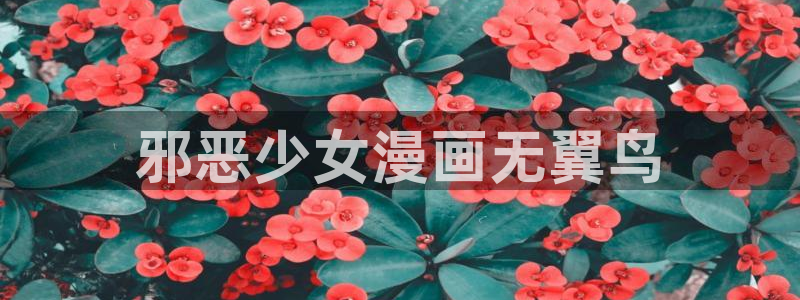 漫蛙在线漫画免费观看：邪恶少女漫画无翼鸟