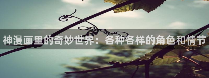 漫蛙的链接