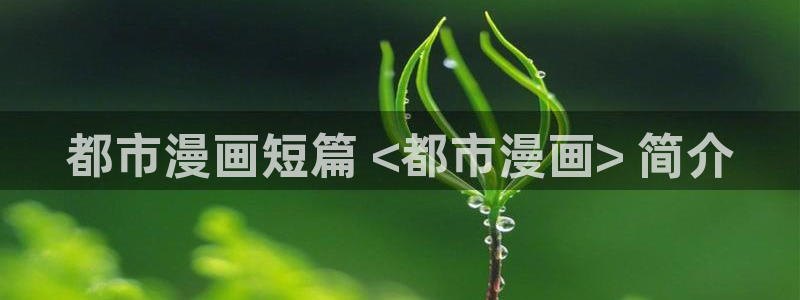 漫蛙网入口