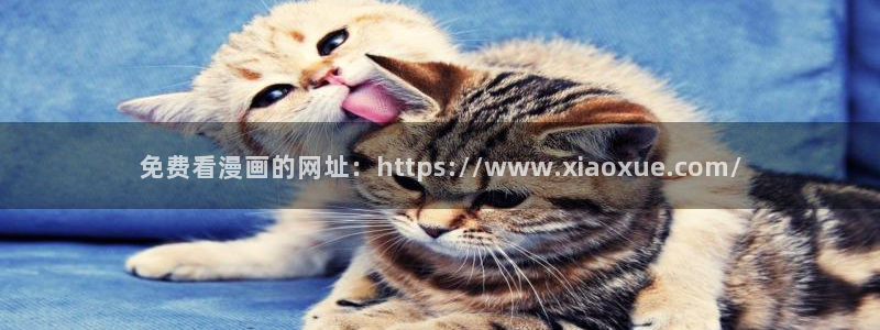 漫蛙崩了吗