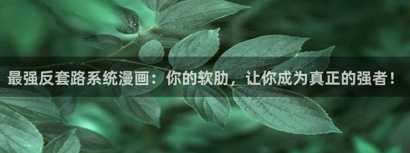 漫蛙1.1.8版
