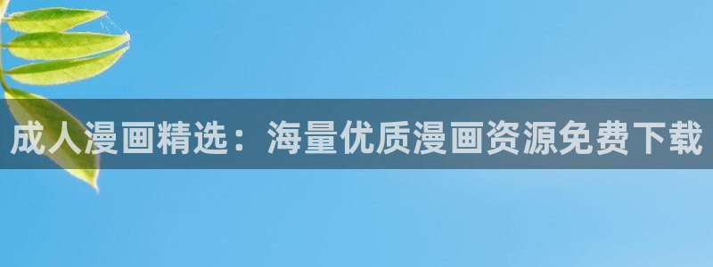 漫蛙用什么加速器