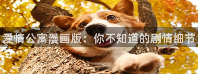 漫蛙2英文版