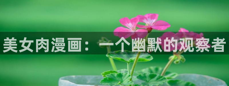 漫蛙下载有风险吗