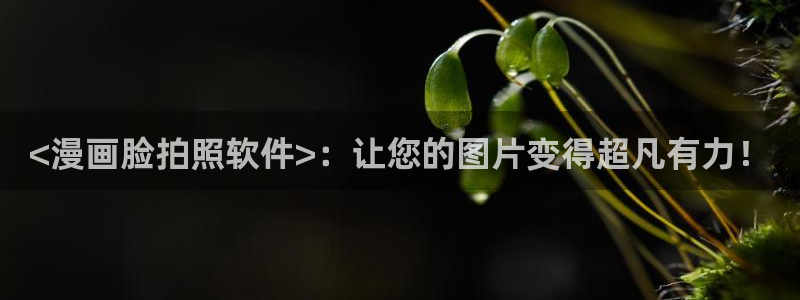 漫蛙2正版无病毒
