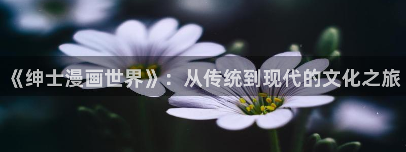 小蘑菇漫蛙
